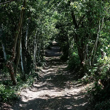 Quinta De Sao Miguel *