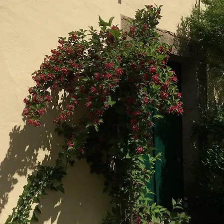 Apartmán Quinta De Sao Miguel *