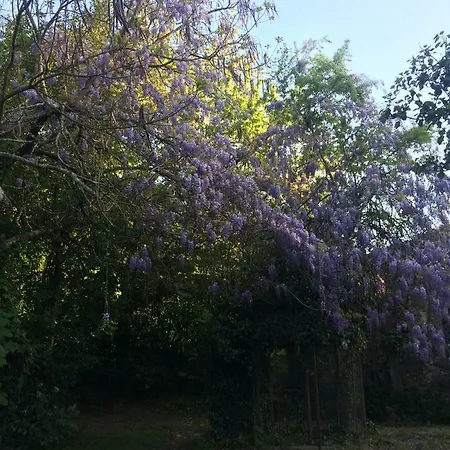 Quinta De Sao Miguel Viseu
